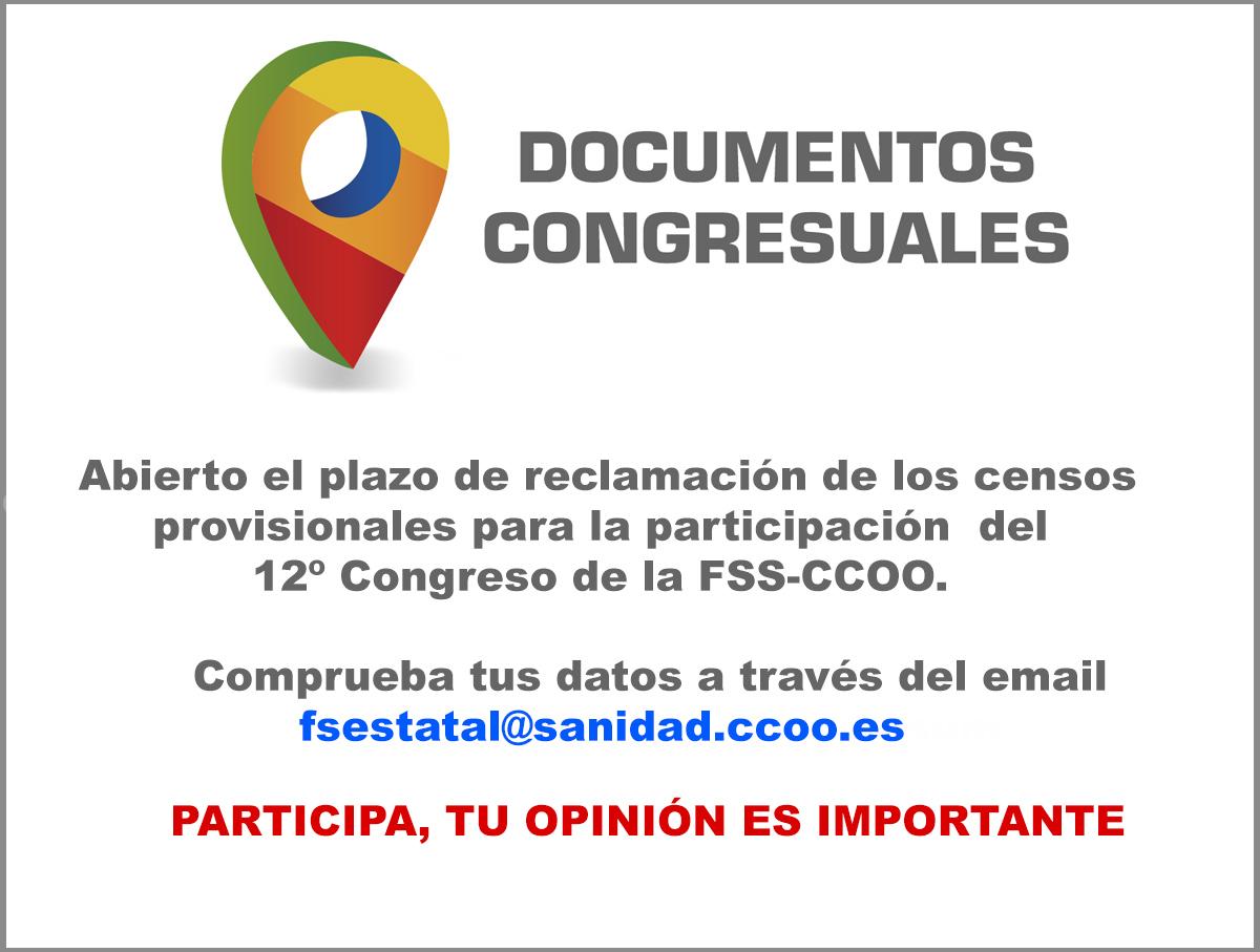 12 Congreso de la FSS-CCOO