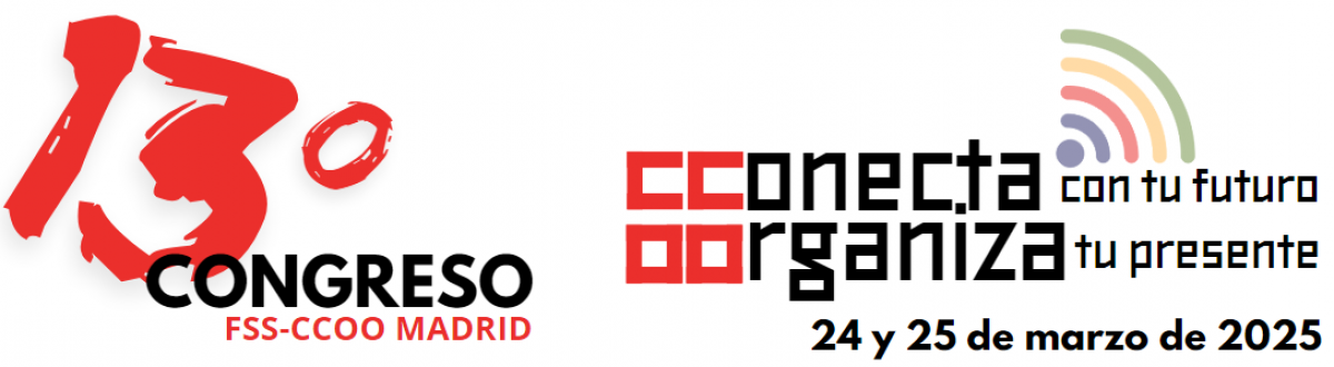 13 Congreso FSS-CCOO Madrid