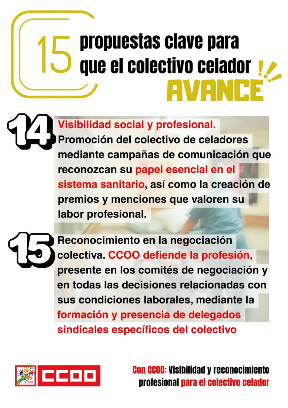 CELADORES - 15 PROPUESTAS