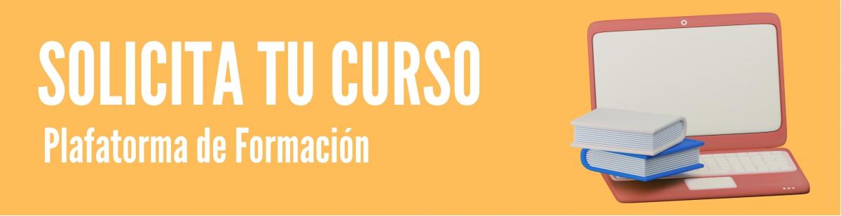 Plataforma de Formacin de la FSS-CCOO Madrid