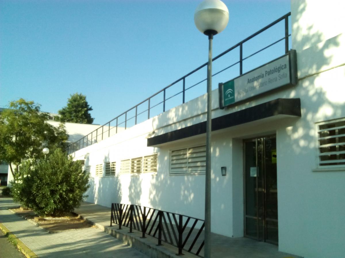 Fachada del Servicio de Anatoma Patolgica del Hospital Reina Sofa.