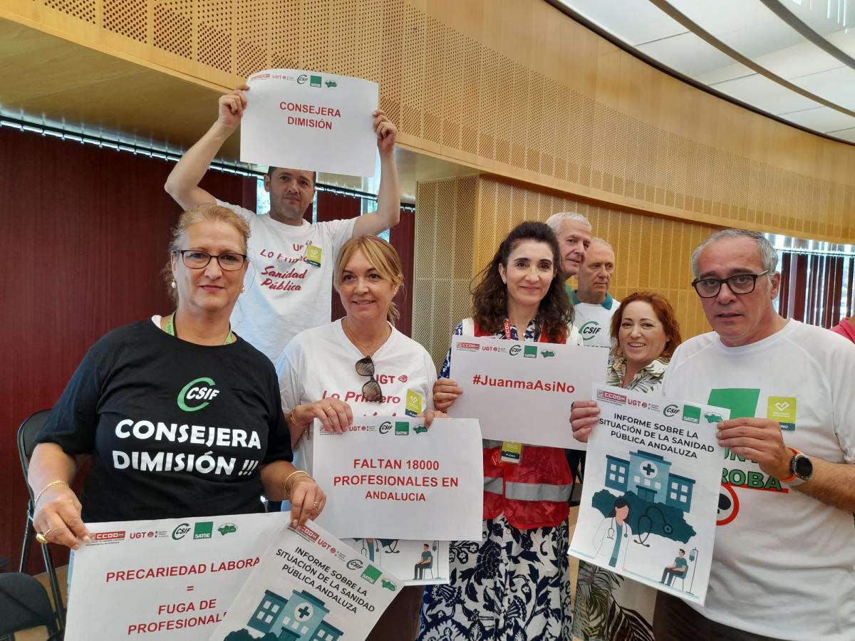 La mocin la han presentado esta maana en el pleno de Diputacin de Granada