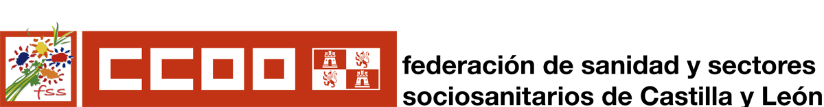 Logo FSS-CCOO