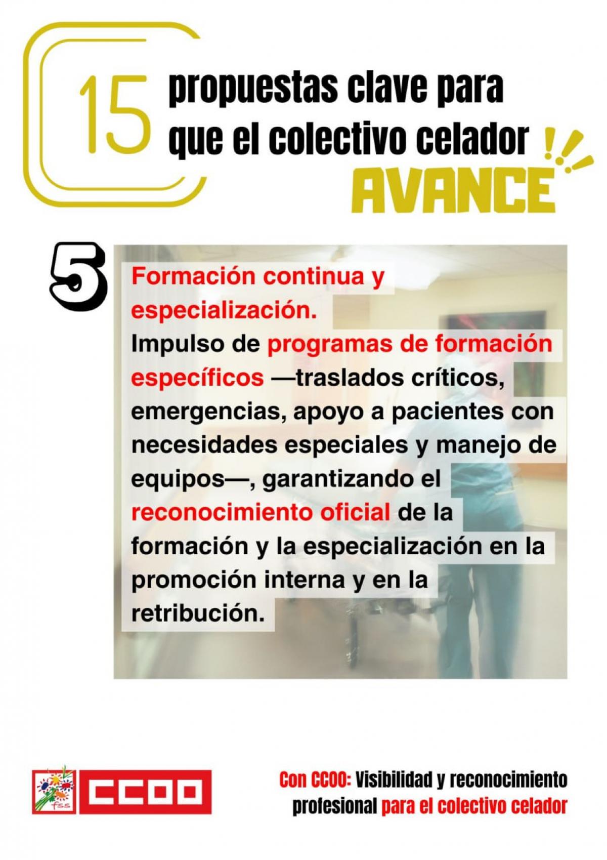 CELADORES - 15 PROPUESTAS