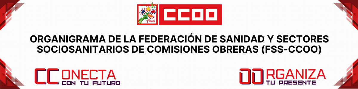 Organigrama FSS-CCOO