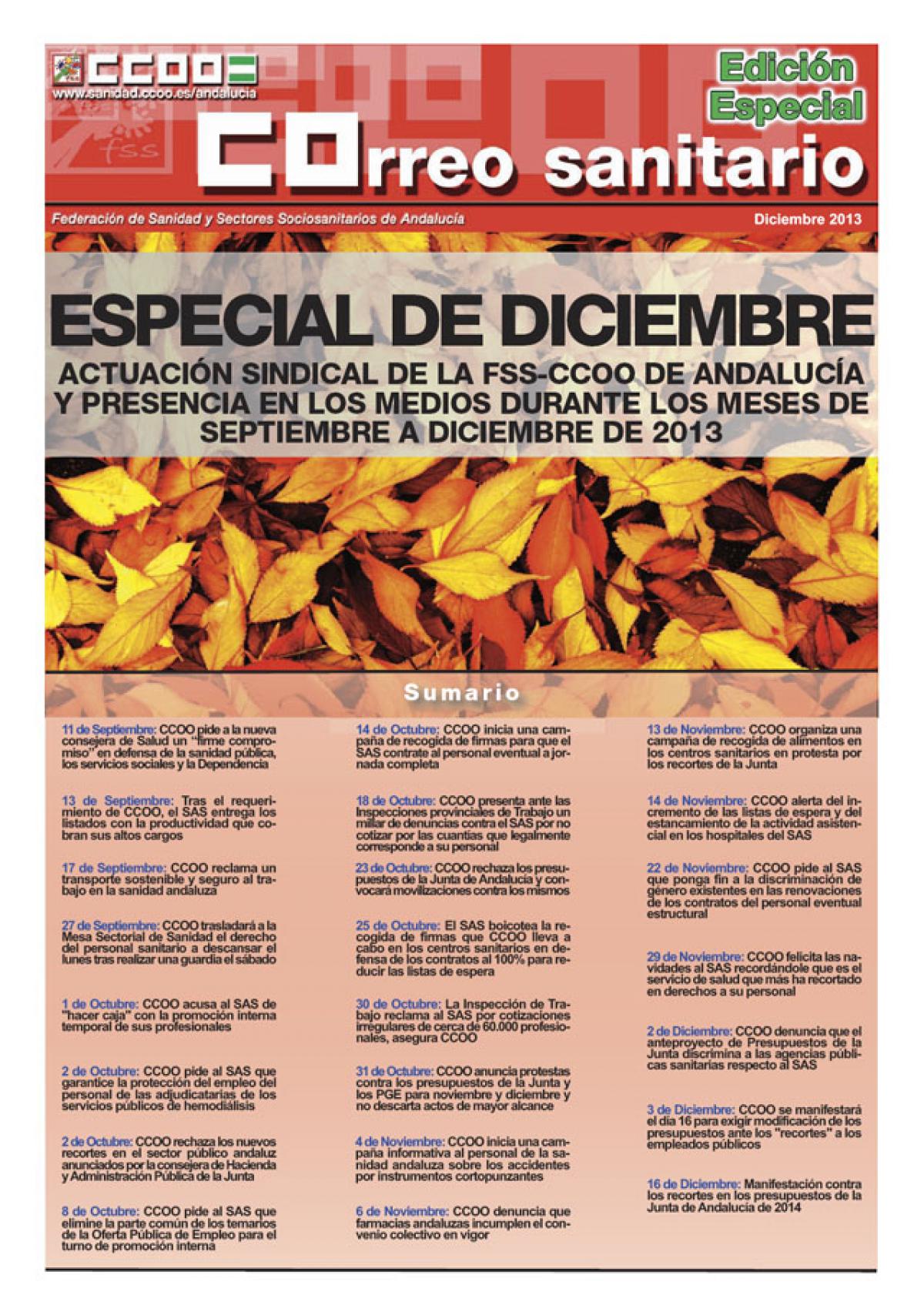 Correo Sanitario EDICION ESPECIAL DICIEMBRE 2013