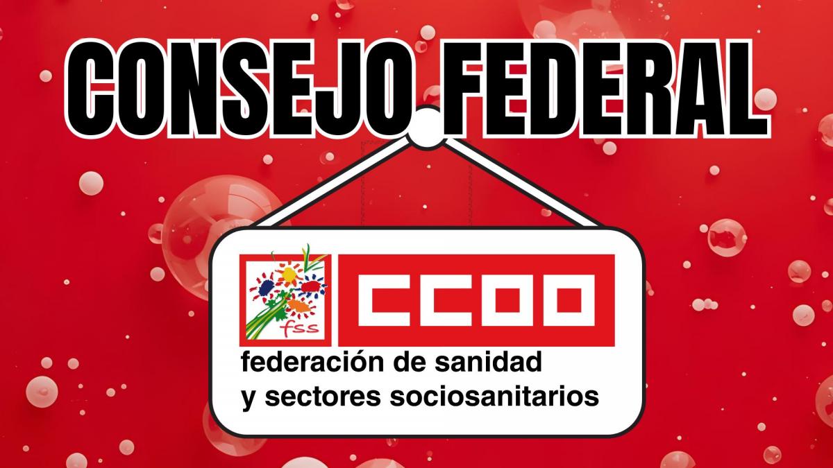 Consejo Federal de la FSS-CCOO