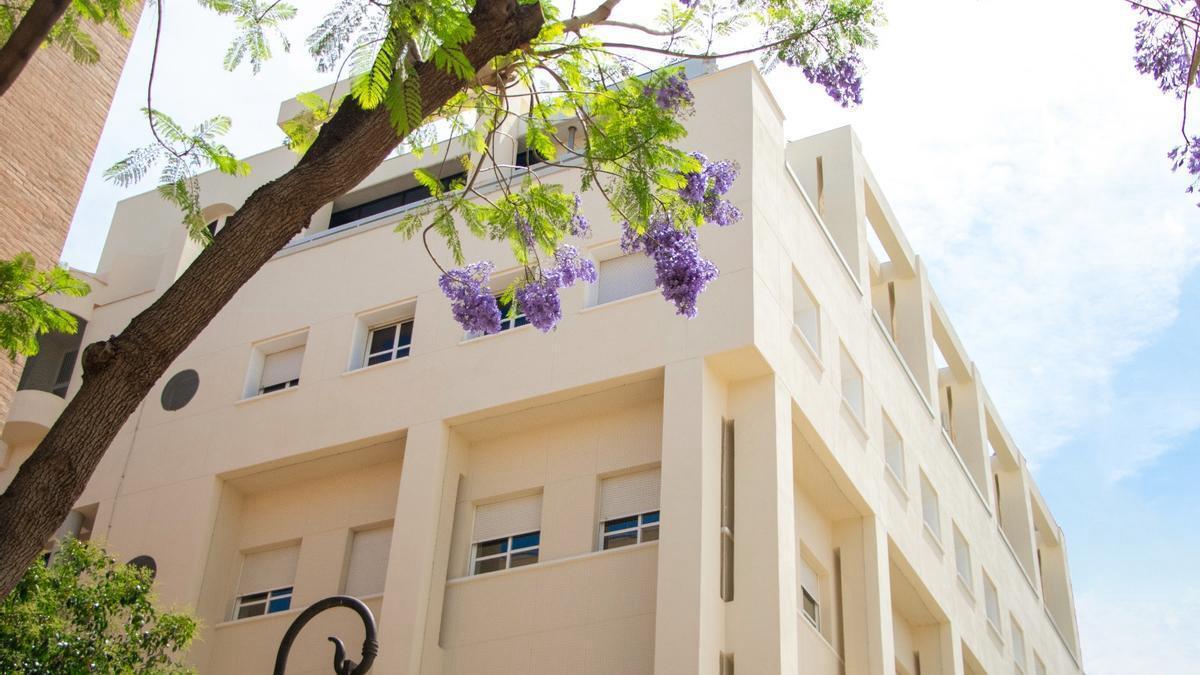 Fundación Lluís Alcanyís