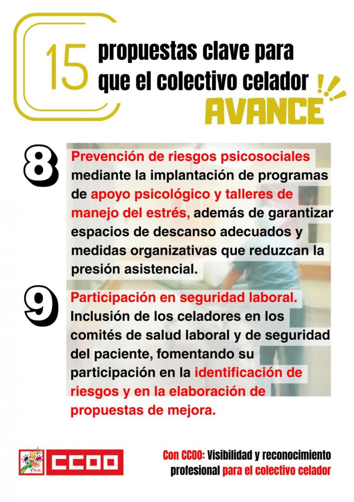 CELADORES - 15 PROPUESTAS