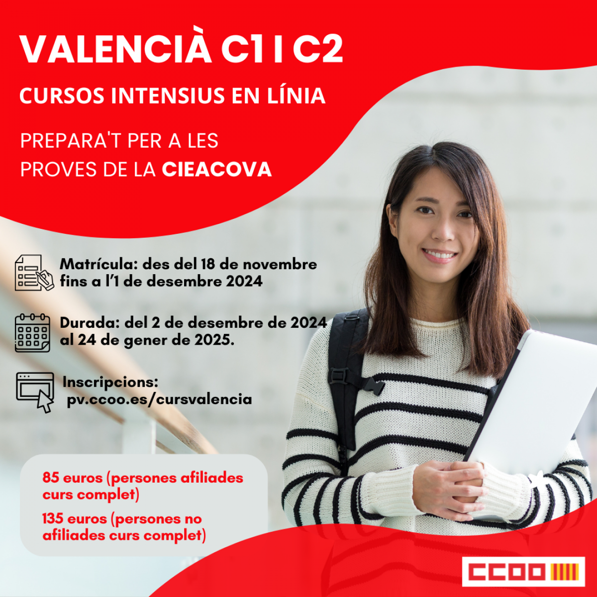 Cursos de valenci intensius de CCOO PV.