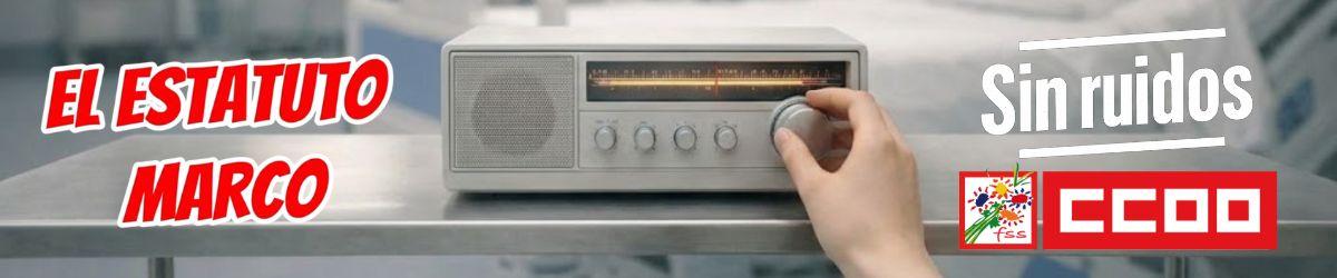 El Estatuto Marco sin ruidos
