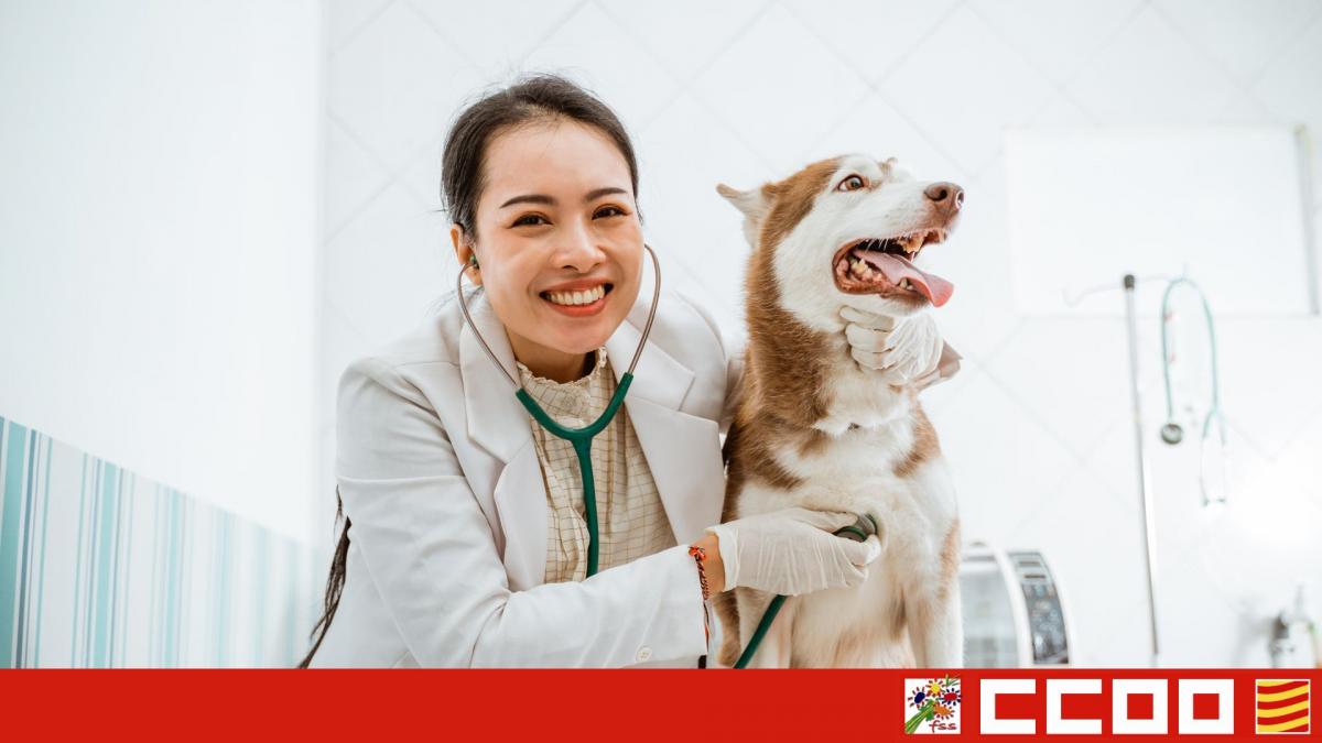 Veterinaria