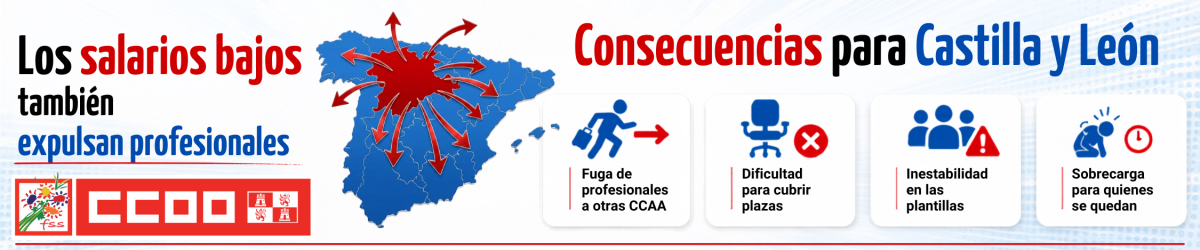 Consecuencias para Castilla y León