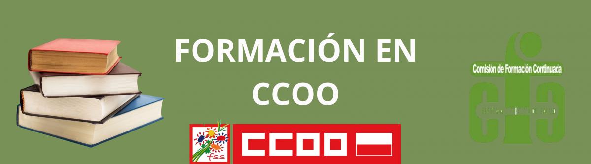 Formacin en CCOO