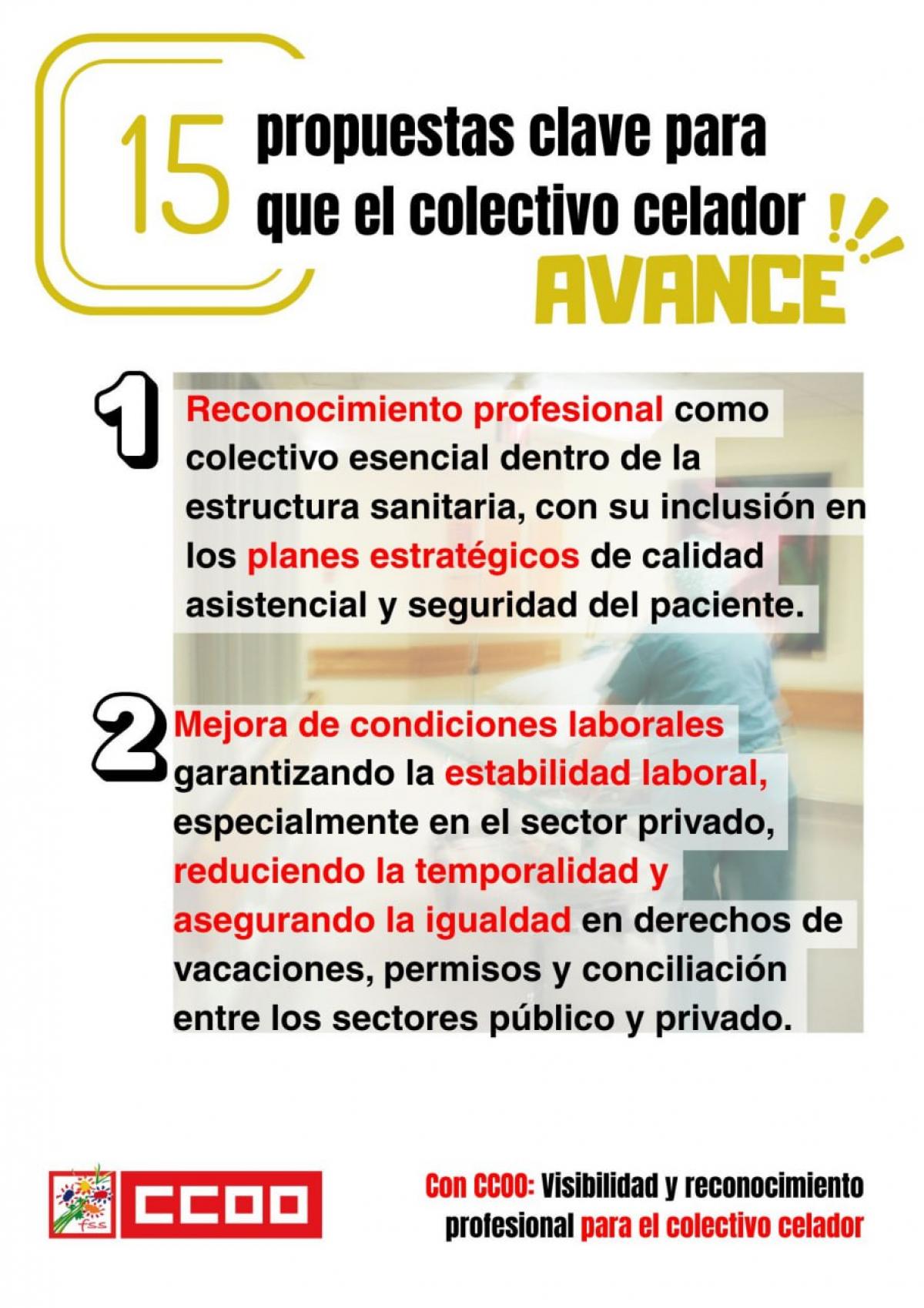 CELADORES - 15 PROPUESTAS