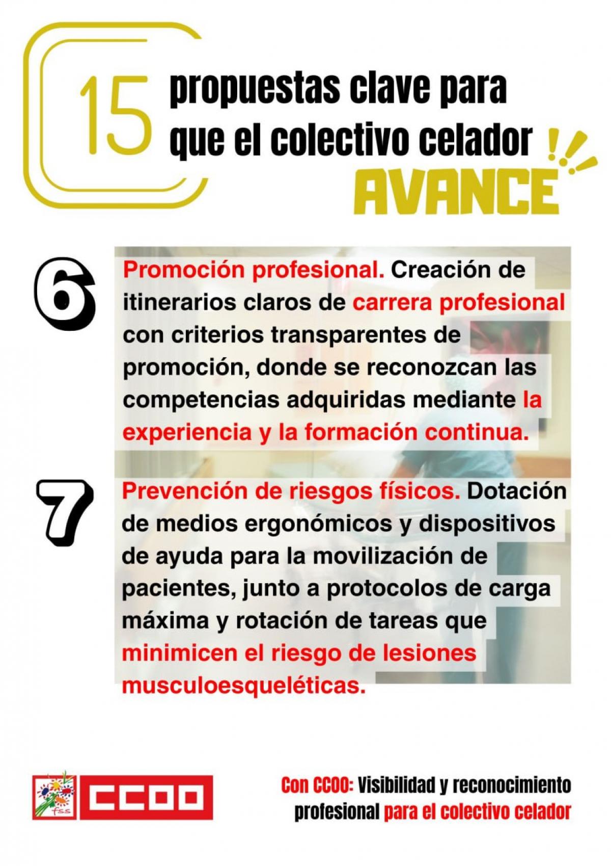 CELADORES - 15 PROPUESTAS