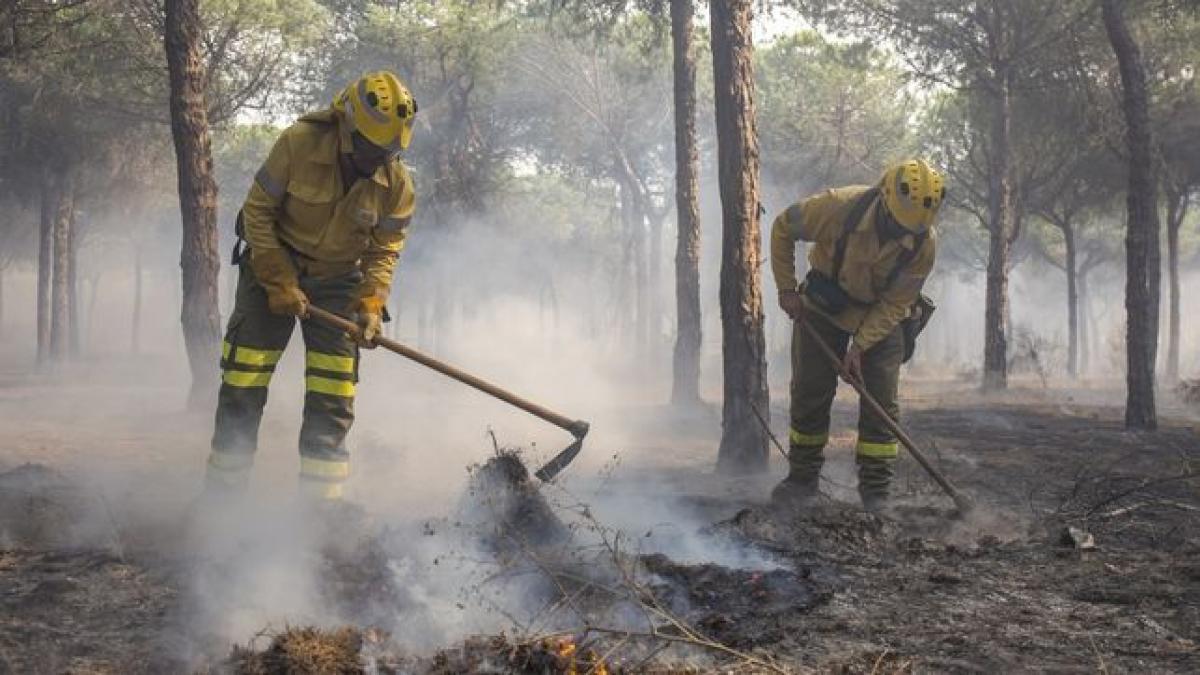 Bomberos forestales