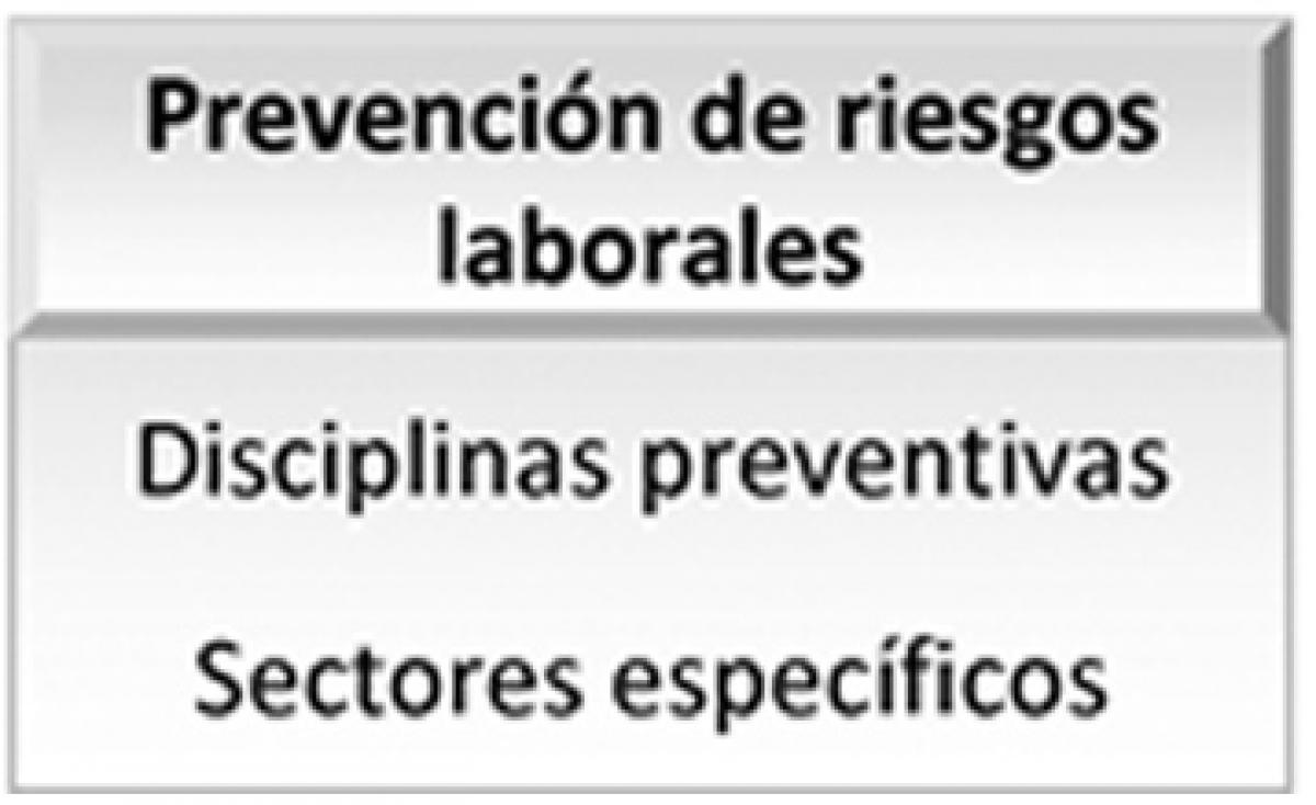 PREVENCIN DE RIESGOS LABORALES