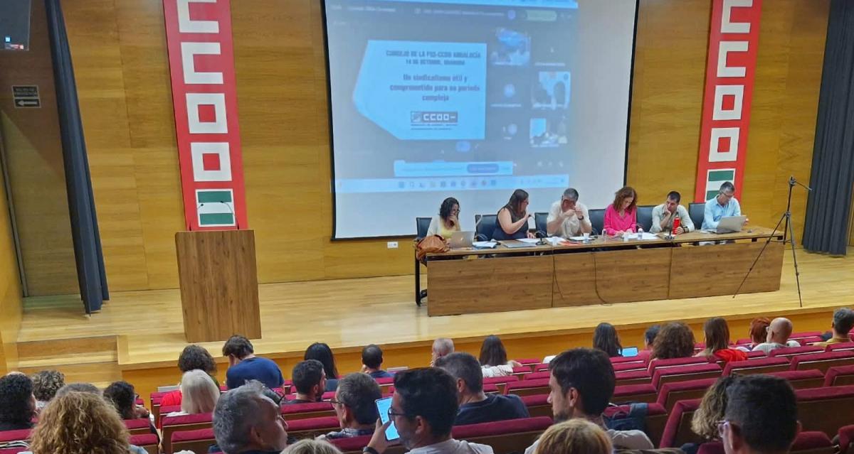 Consejo de la FSS-CCOO Andalucía.