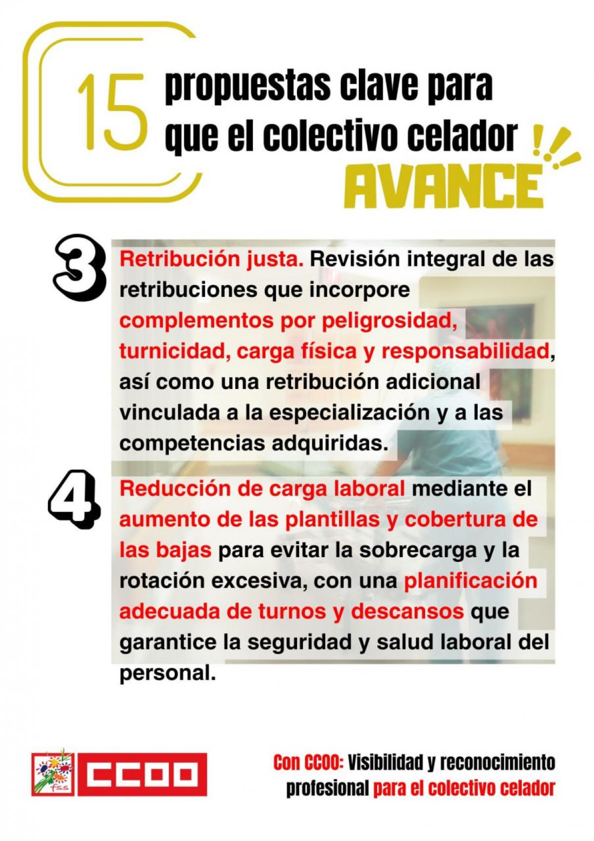 CELADORES - 15 PROPUESTAS