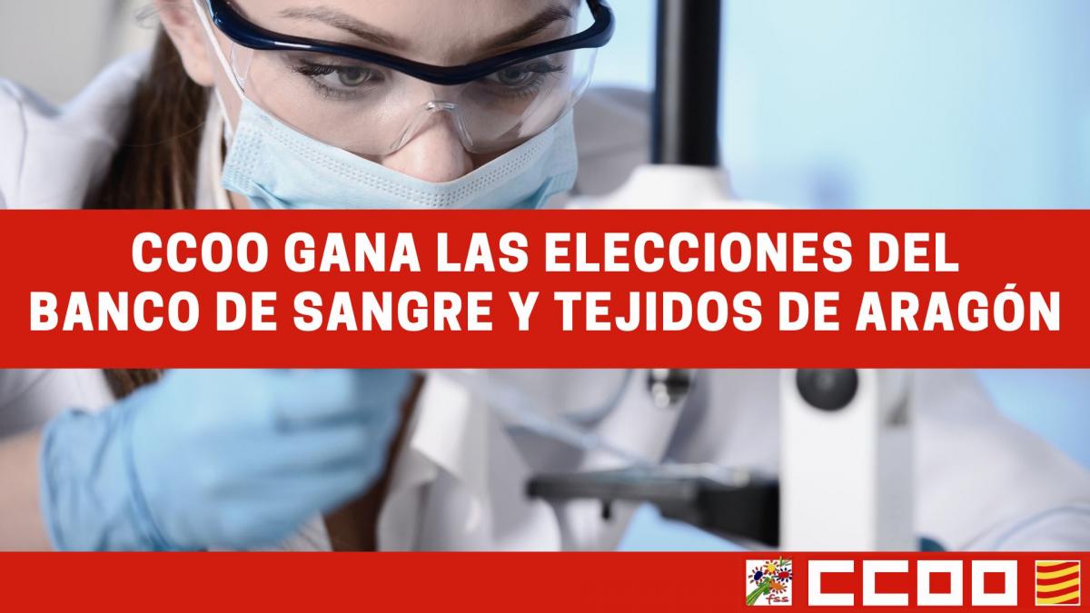 CCOO Gana las elecciones en el Banco de Sangre y Tejidos de Aragn