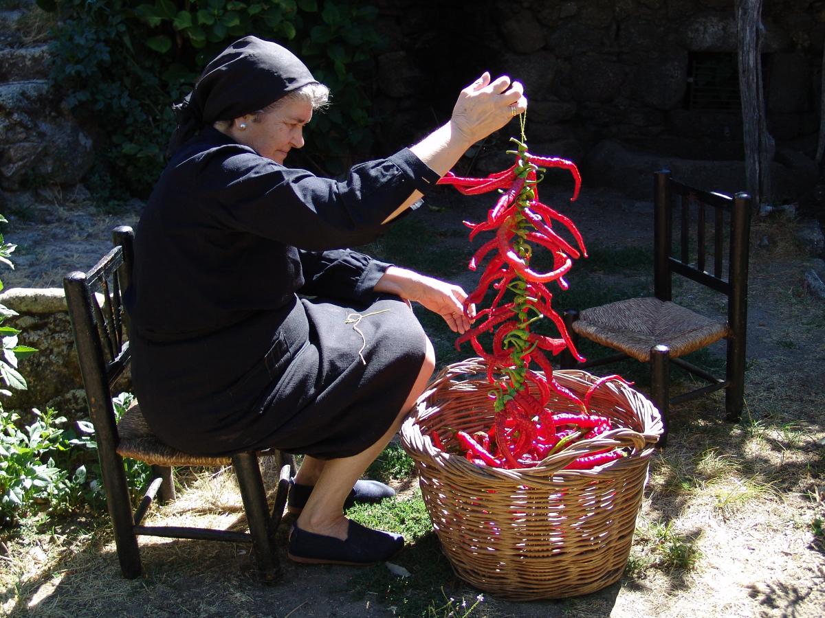 Forografa Ganadora. "Enristrando pimientos" de Alonso de la Calle Hidalgo