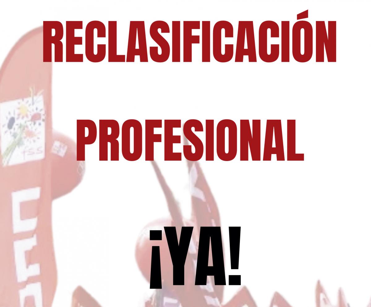 Reclasificacin profesional