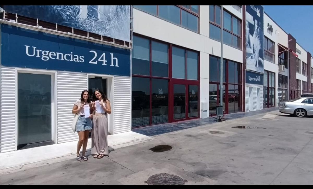 Delegadas de CCOO en Anicura Vetsia