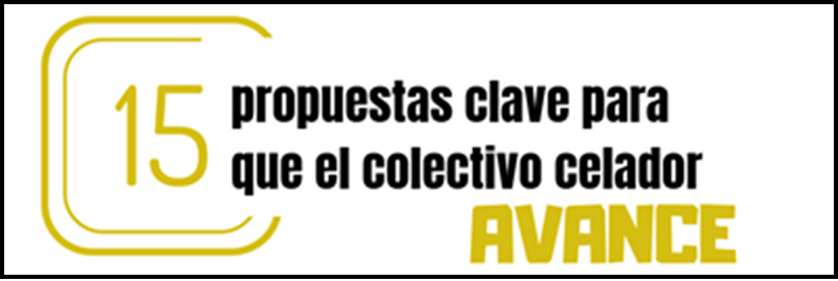 15 propuestas clave celadores