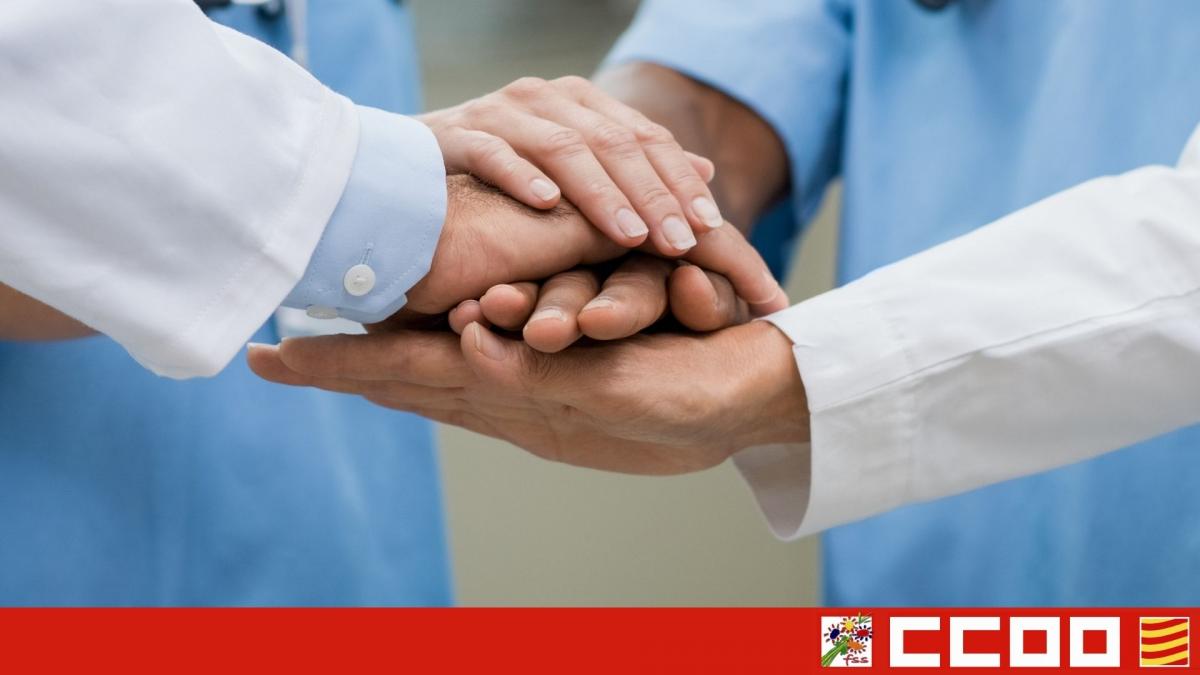 Coordinadores/as Técnicos/as