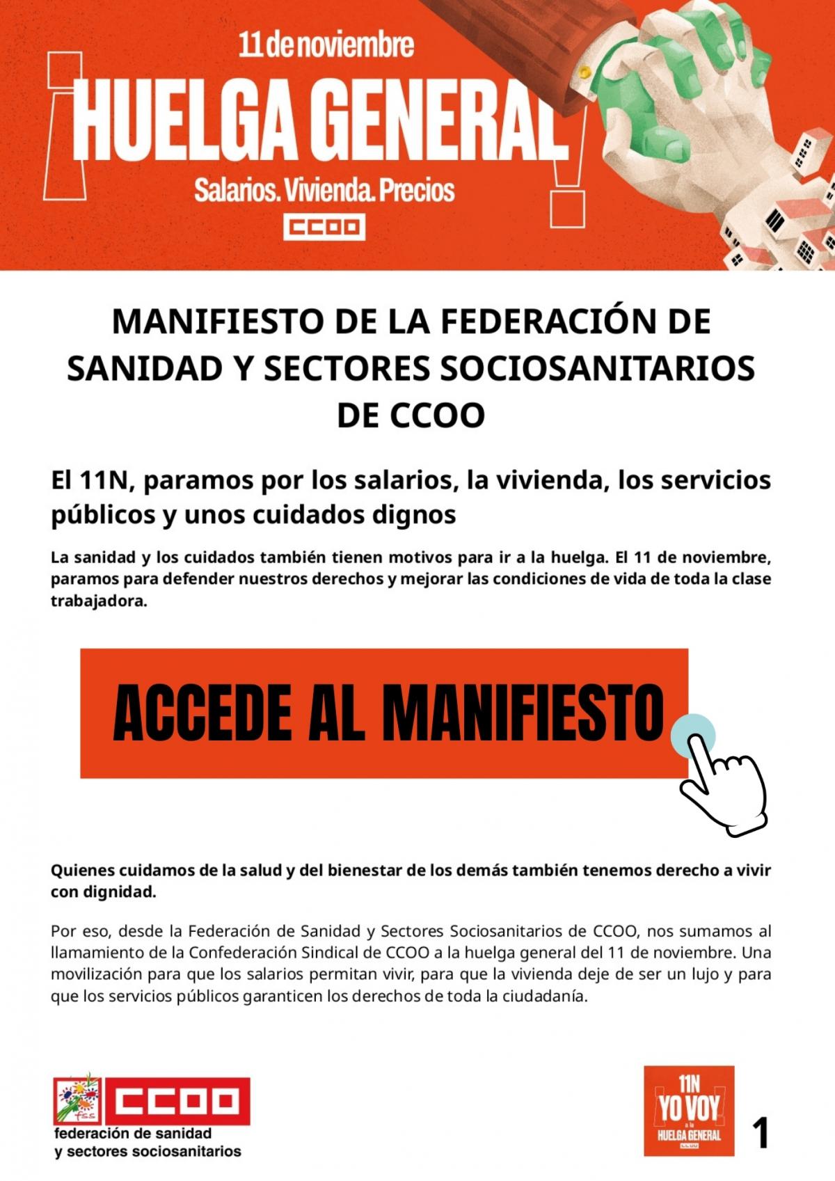 Manifiesto 11N