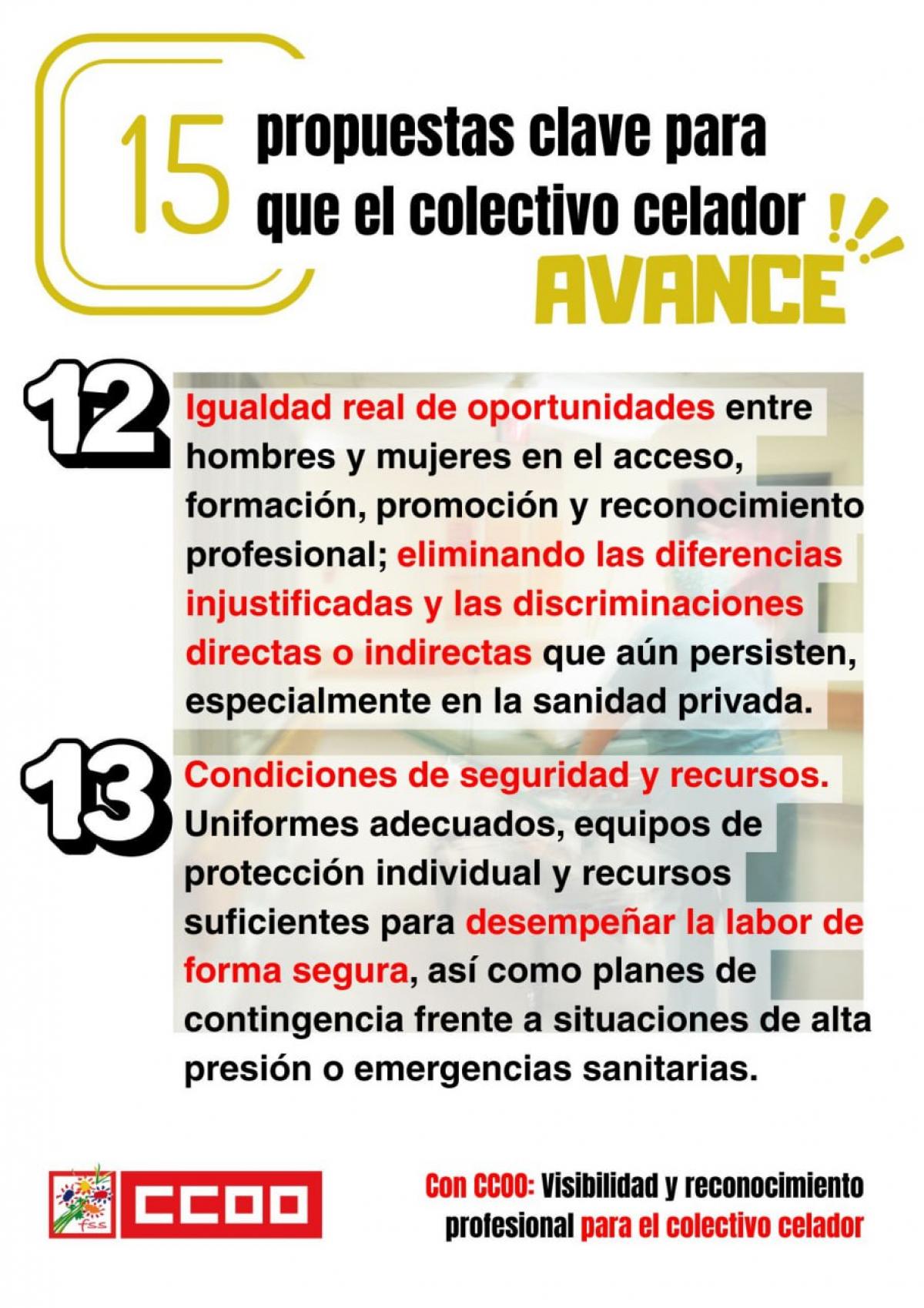 CELADORES - 15 PROPUESTAS